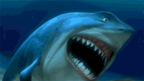 shark-laughing-shark-gifs.gif