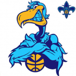 New Orleans Pelicans new logo