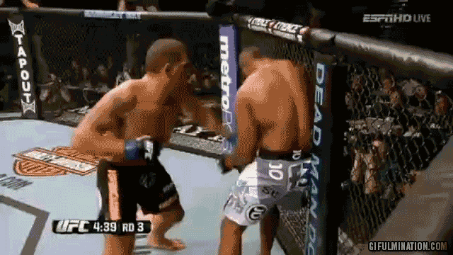 silva-knocking-out-overeem-at-UFC-156.gif