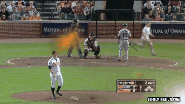 17 GIFs of Fans Running onto the Field | Total Pro Sports