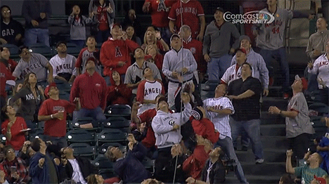 ball foul catch fans amazing gifs woman baseball catches crushes fan catching bro underneath dance he sox him diving injured
