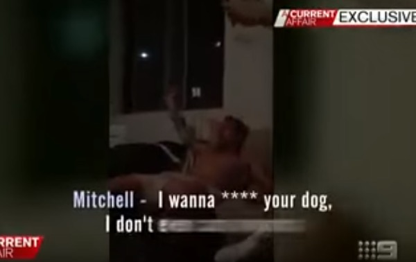 Australian Rugby Player Pees on Couch During House Party, Simulates Sex with a Dog (Video ...