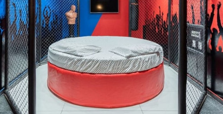 Brazil Sex Hotel Offers Mma Themed Room Where You Can Ground And Pound In
