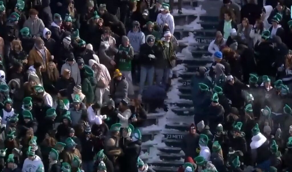 fans in the stands throwing snowballs