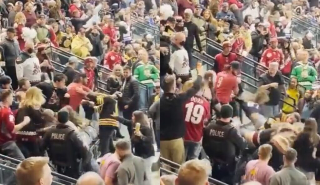 hockey fans fighting in stands