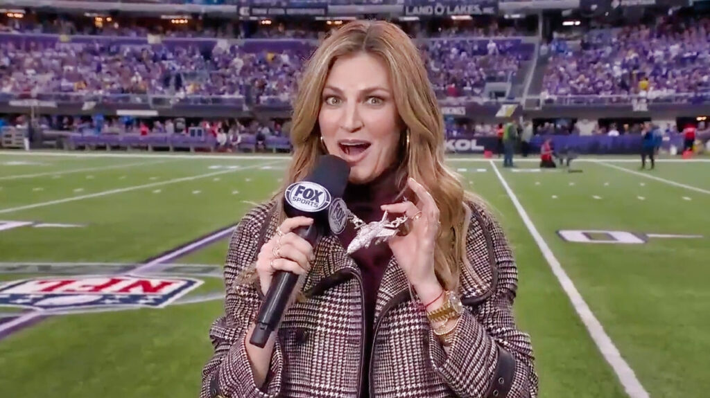 Erin Andrews smiling while on field in Minnesota