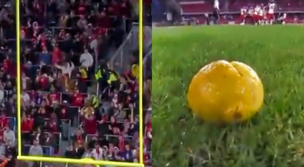 DC Defenders fans during game (left). A lemon on the field (right).