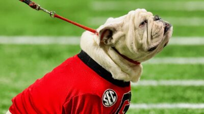 Georgia Bulldogs mascot Uga in red
