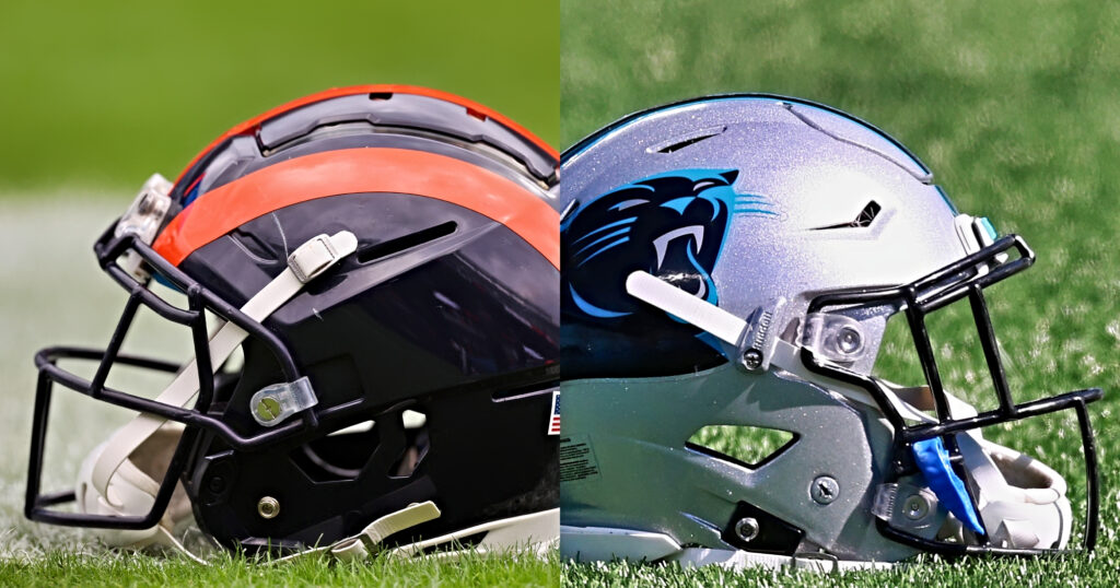 bears and panthers helmets
