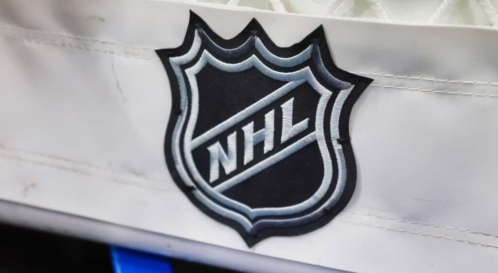An NHL logo shown on a net in Elmont, New York.