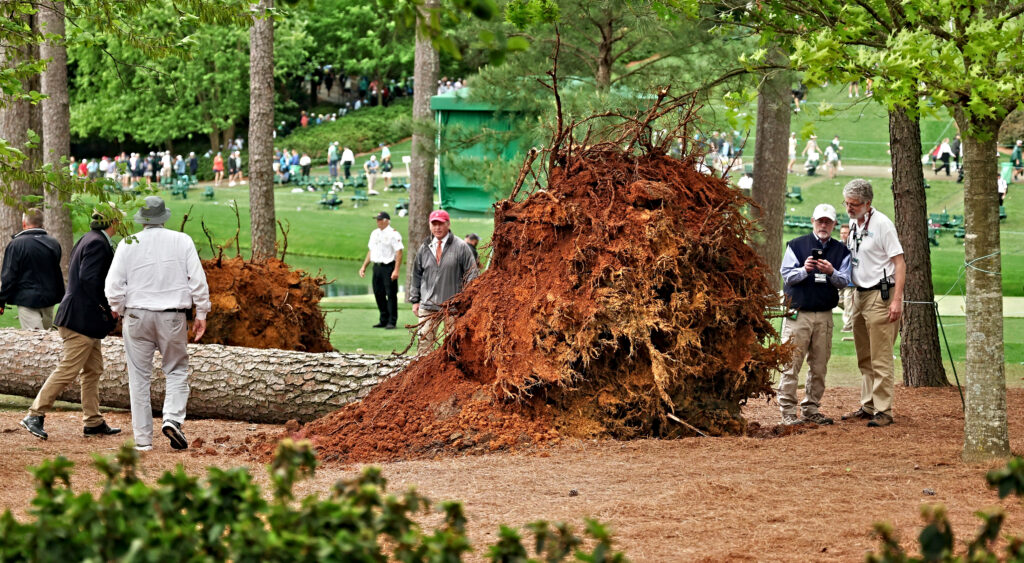 Photos Show Damage After Pine Trees Fall At The Masters