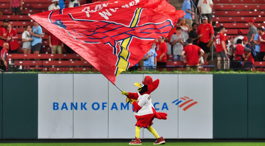 Cardinals mascot flying team flag
