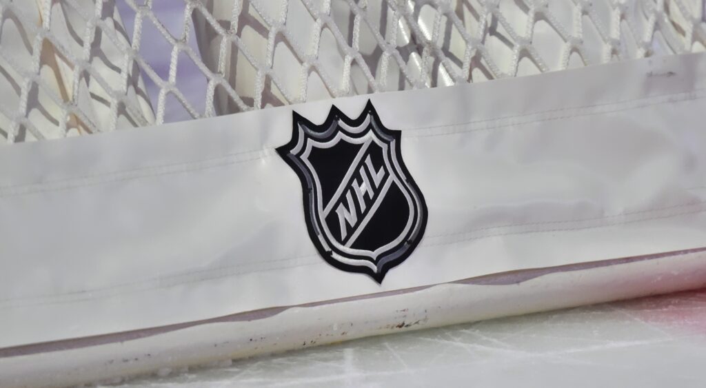 NHL logo on net