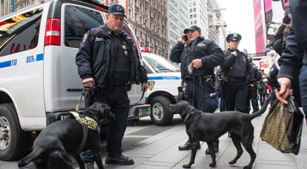 Police officers with police dogs on leashes