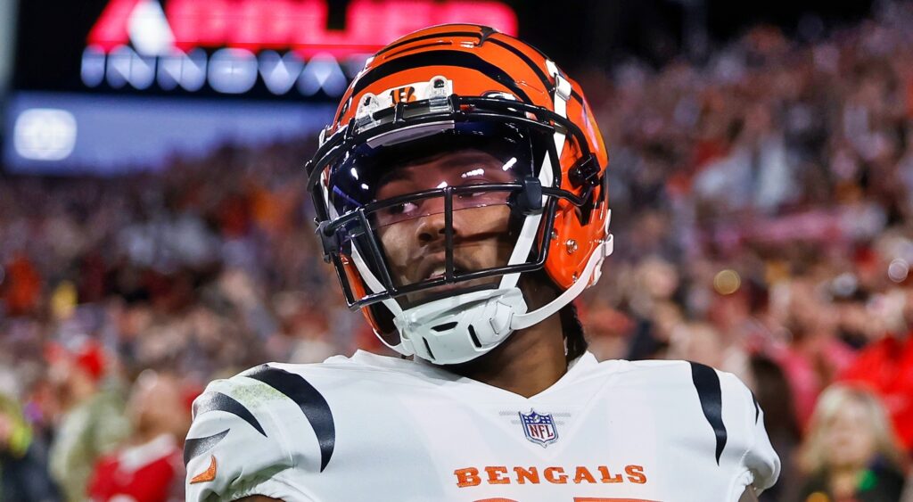 Tee Higgins of Cincinnati Bengals looking on after catching a touchdown.