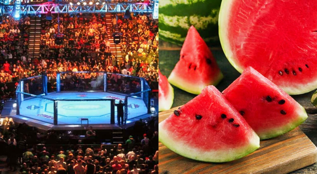 Photo od MMA octagon and photo of watermelon and slices