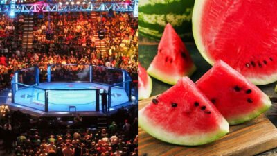 Photo od MMA octagon and photo of watermelon and slices