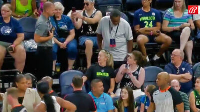 Fans at WNBA game