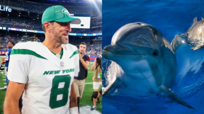 Photo of Aaron Rodgers smiling and photo of dolphins in water