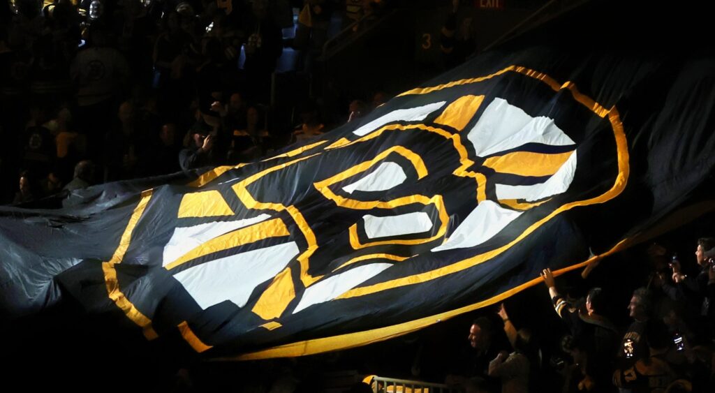 Boston Bruins flag