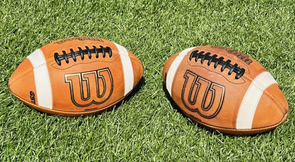 Two Wilson footballs on grass