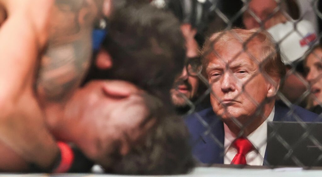Donald Trump looks on at UFC 296.