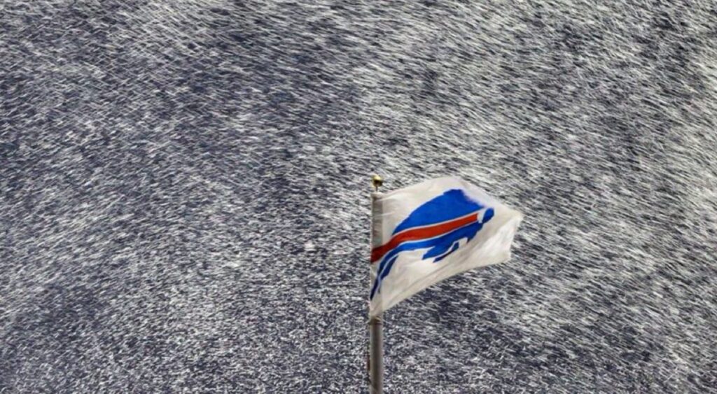 Bills flag in snow