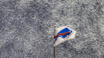 Bills flag in snow