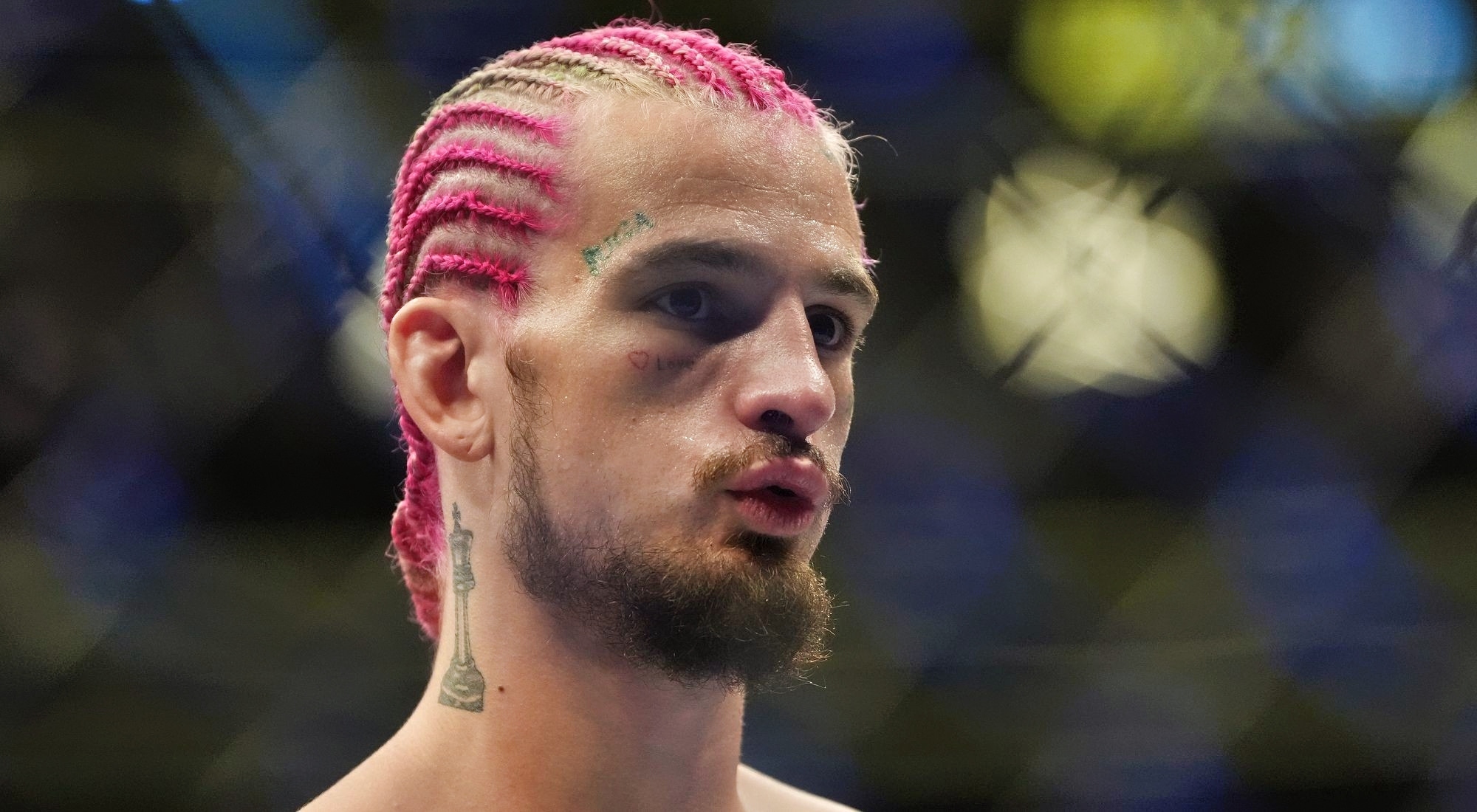 Sean O'Malley Teases Patriotic Hair Makeover for UFC White House Card
