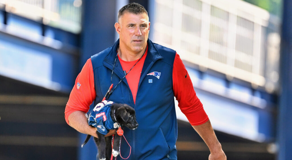 Mike Vrabel.