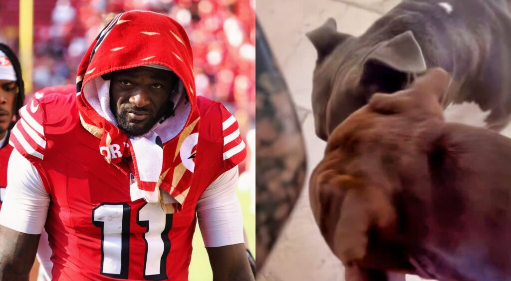 Brandon Aiyuk in uniform and his dogs.