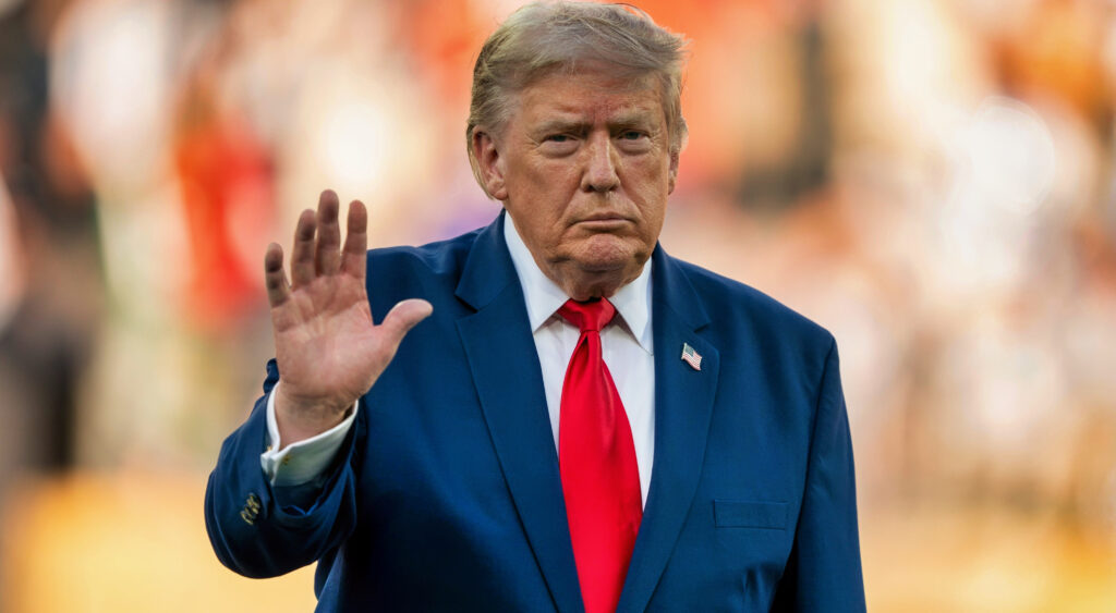 Donald Trump during the FIFA World Cup final.