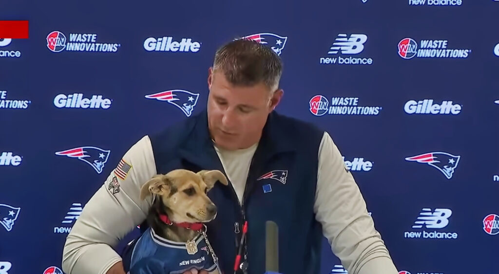 Mike Vrabel during his most recent press conference.